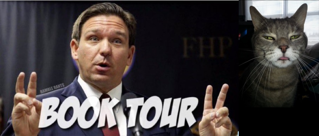 Surprise! DeSantis Transfers $83 Million Raised For Governor Race To National Campaign PAC